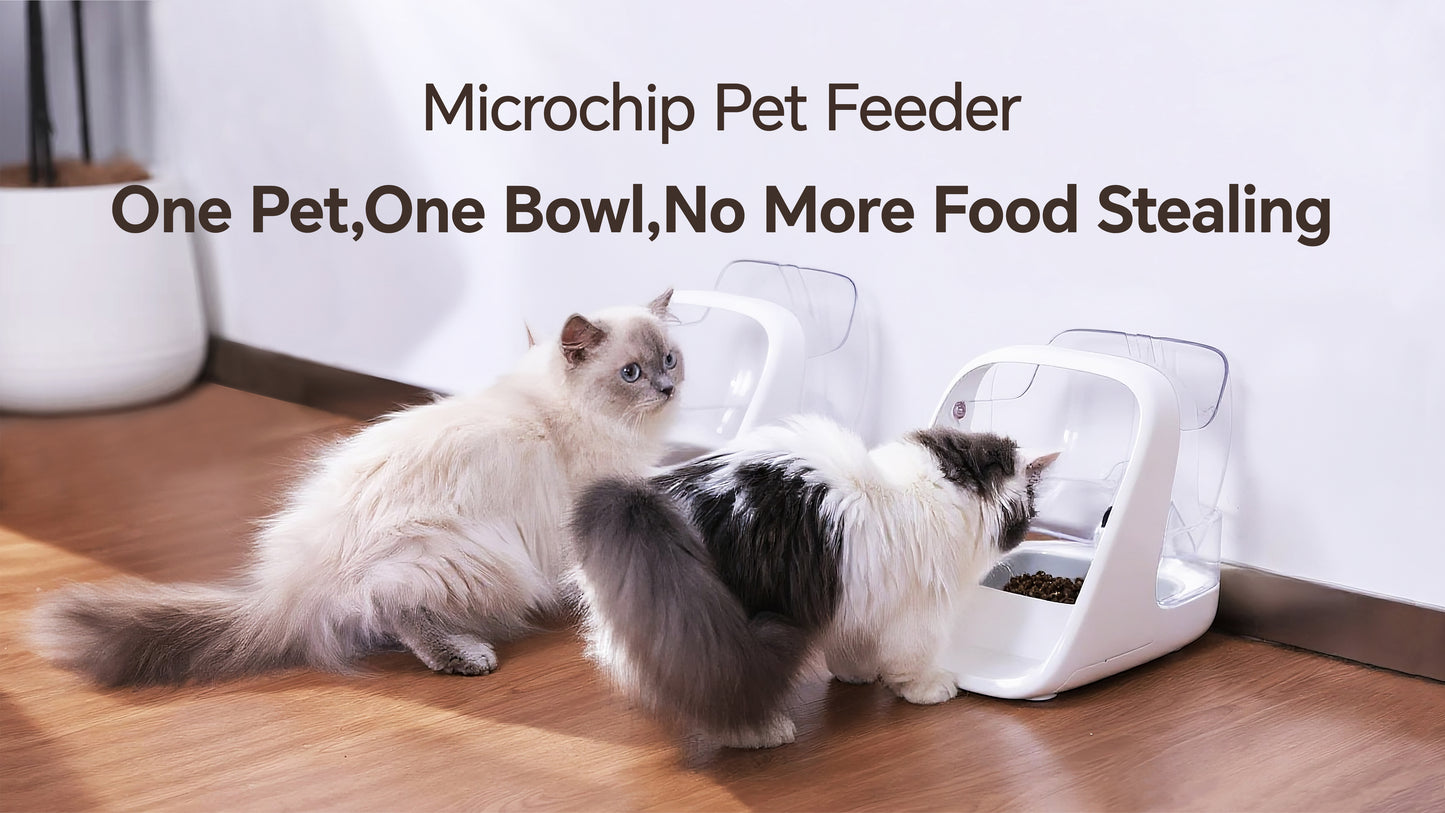Pet Feeder