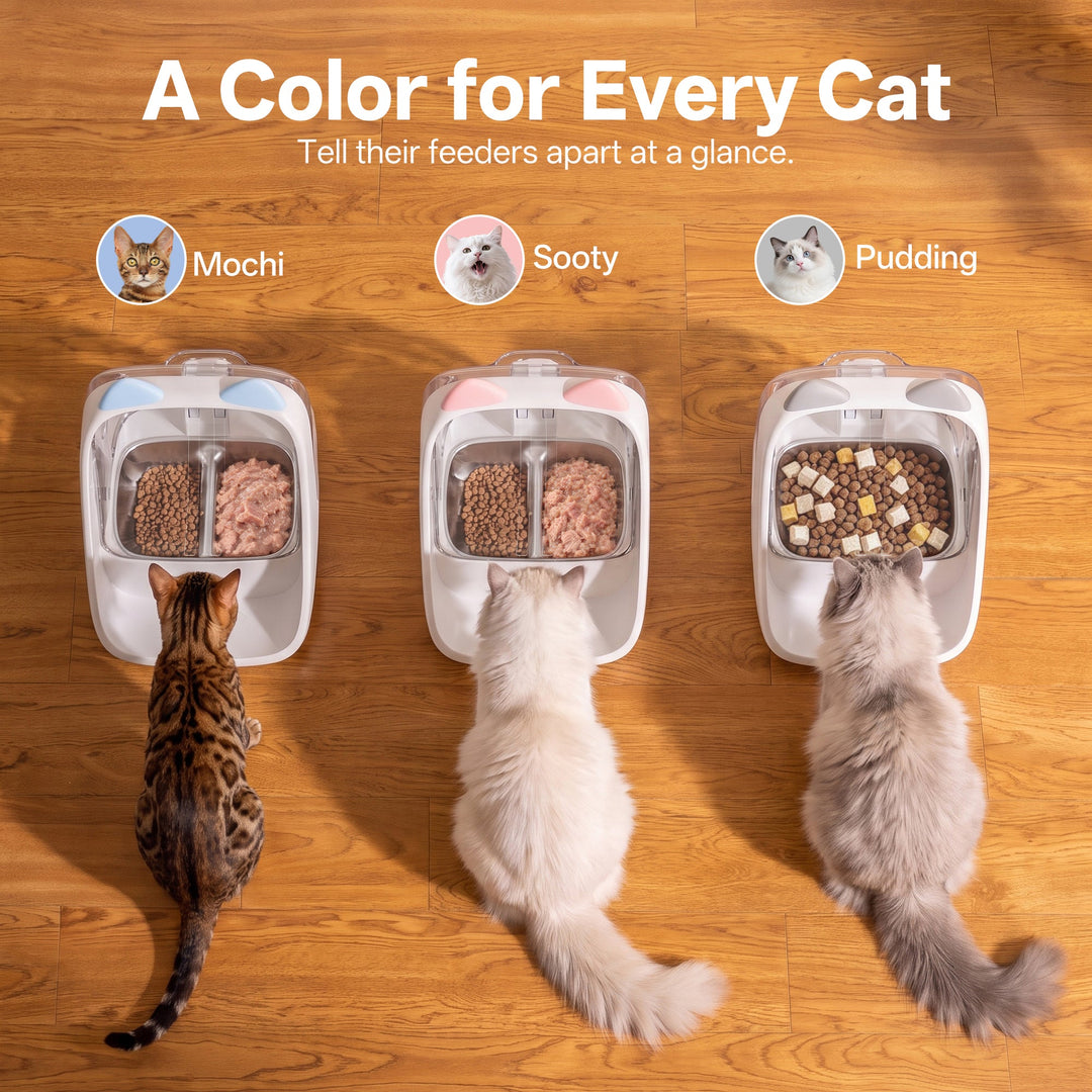 Blue, pink and gray ePawDen decorative ears distinguish separate cat feeding stations