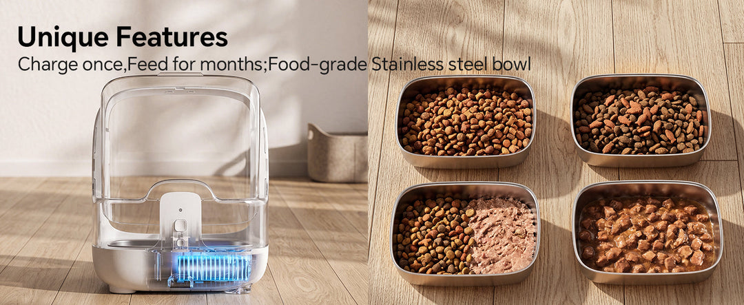ePawDen rechargeable feeder beside stainless steel bowls with different foods.
