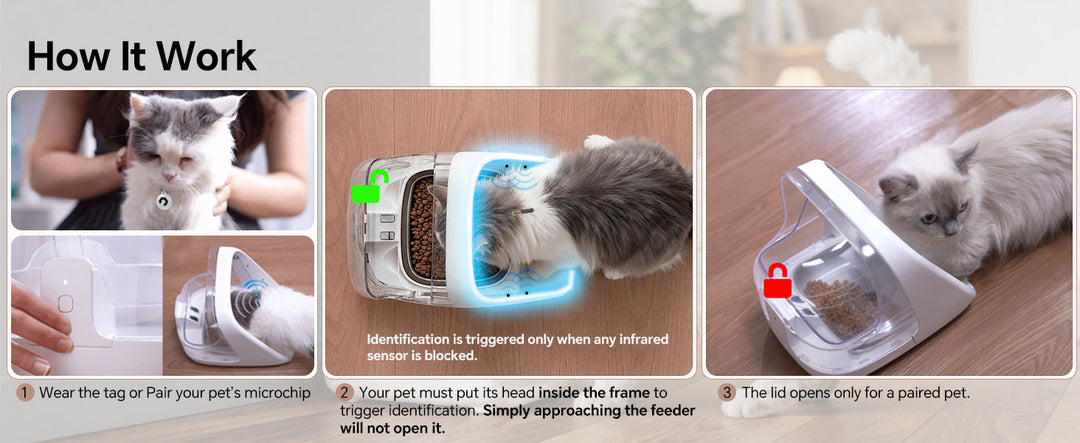 ePawDen tag pairing and front-frame identification sequence