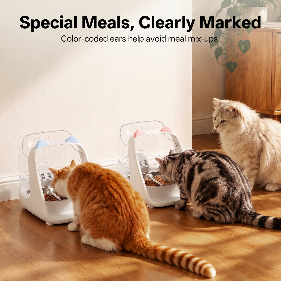 Color-coded ePawDen decorative ears help identify separate meals in a multi-cat home