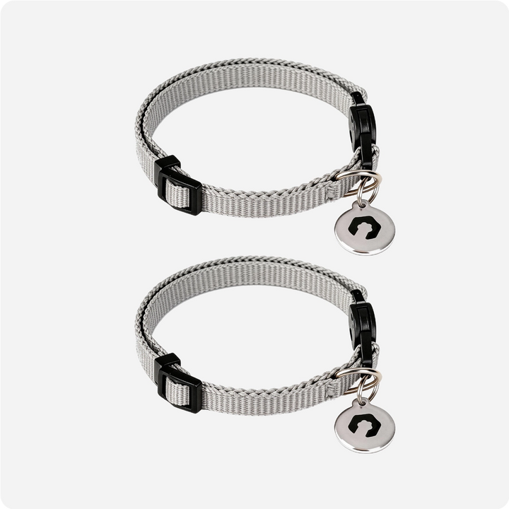 Two RFID collar tags for pets without microchips using the ePawDen Microchip Pet Feeder
