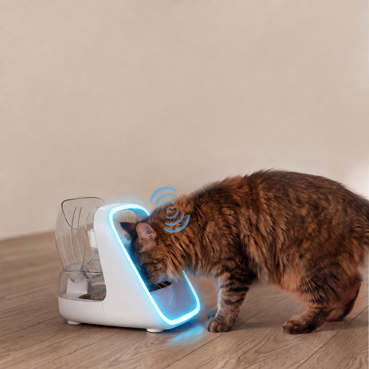 ePawDen microchip and RFID cat feeder access